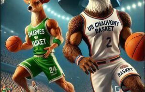 match DM15 SMARVES BASKET / US CHAUVINOISE