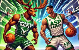 match DFU13 ASSOCIATION SPORTIVE VOUGLAISIENNE / SMARVES BASKET