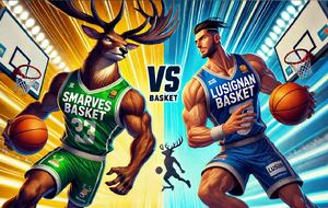match DFU13 PAYS MELUSIN BASKET CLUB / SMARVES BASKET