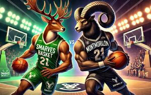 match DM15 BASKET DU MONTMORILLONNAIS / SMARVES BASKET