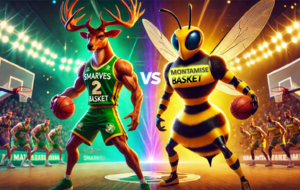 match U13F MONTAMISE BASKET ASSOCIATION - 2 / SMARVES BASKET